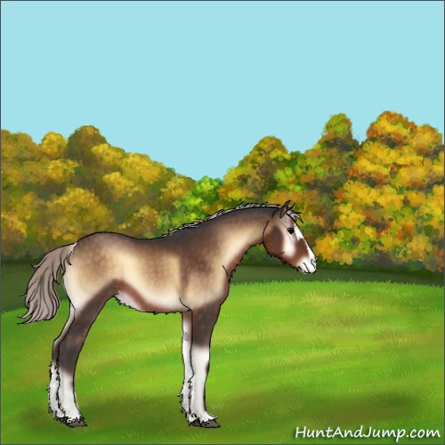 Horse Color:Silver Brown Onyx Sabino Appaloosa 