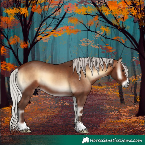 Horse Color:Silver Bay Onyx 