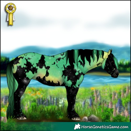 Horse Color:Void Watercolor White Spotted Buckskin Splash 