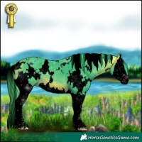 Horse Color:Void Watercolor White Spotted Buckskin Splash 