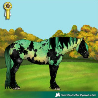 Horse Color:Void Watercolor White Spotted Buckskin Splash