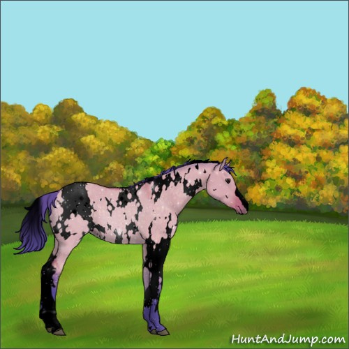 Horse Color:Void Watercolor White Spotted Brown Dun 
