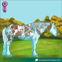 Horse Color:Thunderstruck White Spotted Silver Bay Splash 