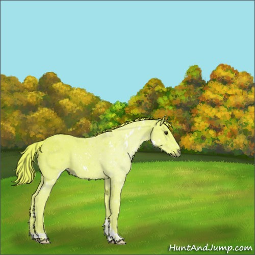 Horse Color:Watercolor White Spotted Liver Chestnut Tobiano 