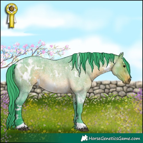 Horse Color:Watercolor White Spotted Brown Roan 
