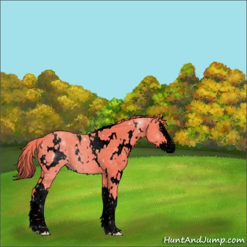 Horse Color:Void Watercolor White Spotted Liver Chestnut Splash 