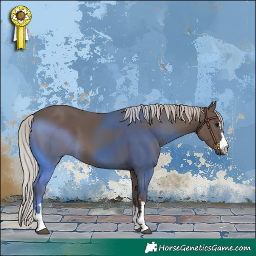 Horse Color:Silver Black 