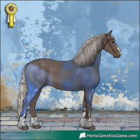Horse Color:Silver Black 