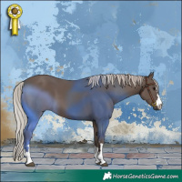 Horse Color:Silver Black