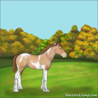Horse Color:Bay Pearl Tobiano 