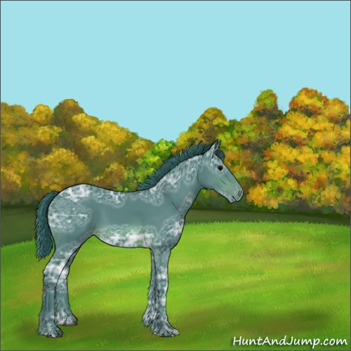 Horse Color:Watercolor Brown Ice Appaloosa 