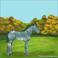 Horse Color:Watercolor Brown Ice Appaloosa 