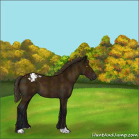 Horse Color:Midnight Sable Champagne Varnish 
