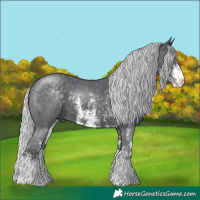 Horse Color:Silver Black Chinchilla Sabino
