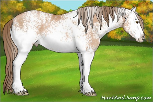 Horse Color:White Spotted Black Pearl 