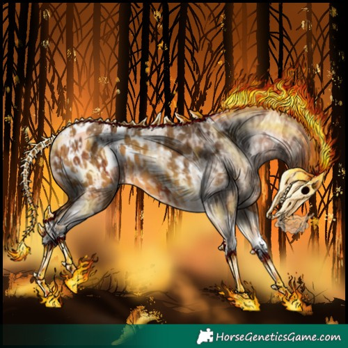 Horse Color:Bay Splash Tobiano Appaloosa  and Buckskin Splash Tobiano Appaloosa 