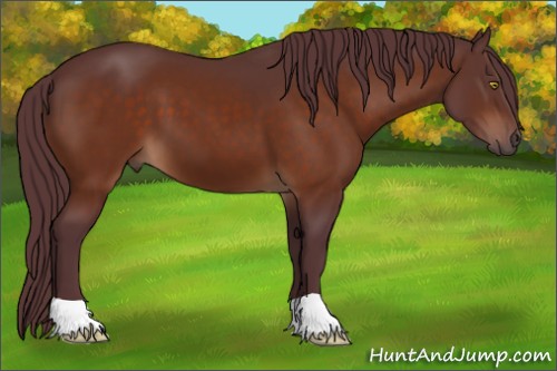 Horse Color:Chocolate Brown 
