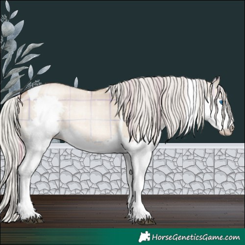 Horse Color:Plaid Silver Brown Pearl Dun Splash Tobiano Rabicano