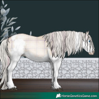 Horse Color:Plaid  Silver Brown Pearl Dun Splash Tobiano Rabicano 