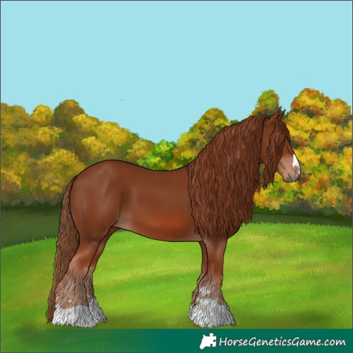 Horse Color:Chestnut 
