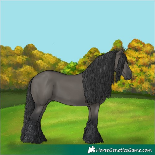 Horse Color:Grullo 