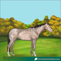 Horse Color:Sable Champagne Ice Rabicano
