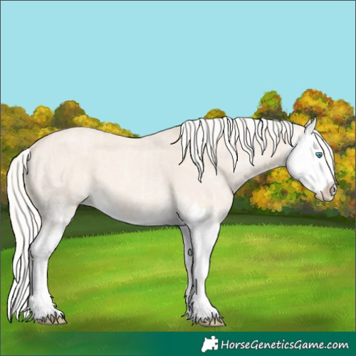 Horse Color:Cremello Dun Splash and Cremello Dun Splash