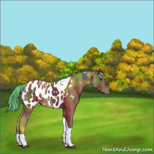 Horse Color:Painted Nacre Silver Brown Tobiano Appaloosa 