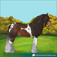 Horse Color:Liver Chestnut Tobiano 