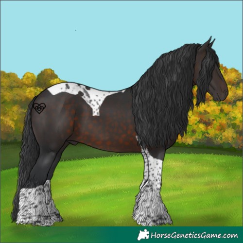 Horse Color:Brown Tobiano 