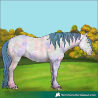 Horse Color:Nacre Watercolor Amber Champagne Ice Dun Rabicano