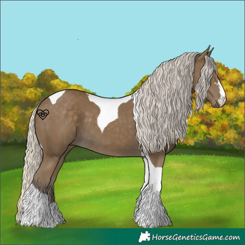 Horse Color:Silver Smoky Black Tobiano 