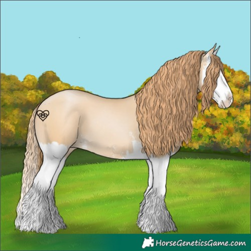 Horse Color:Smoky Black Pearl Sabino Splash 