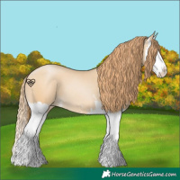 Horse Color:Smoky Black Pearl Sabino Splash 