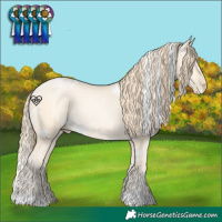 Horse Color:White Spotted Bay Snowdrop Pearl 