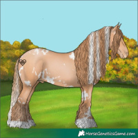 Horse Color:White Spotted Bay Pearl 