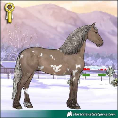 Horse Color:White Spotted Silver Grullo 