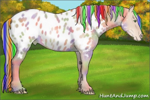 Horse Color:Painted Nacre Gold Champagne Dun Appaloosa 