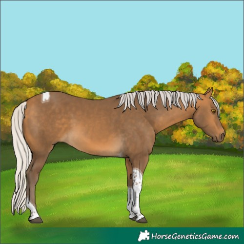 Horse Color:Silver Buckskin Tobiano 
