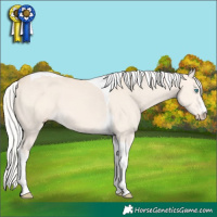 Horse Color:Silver Perlino Tobiano 