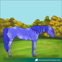 Horse Color:Watercolor Black Ice 