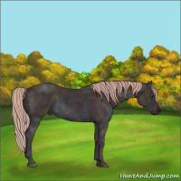 Horse Color:Watercolor Midnight Chestnut Ice 