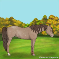 Horse Color:Classic Champagne 