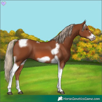 Horse Color:Chestnut Tobiano Frame 