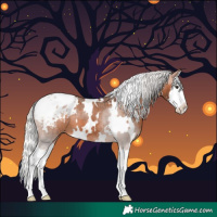 Horse Color:White Spotted Silver Brown Splash Appaloosa 