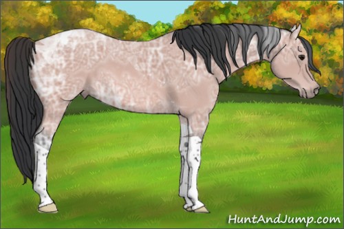Horse Color:Platinum Bay Ice Tobiano 
