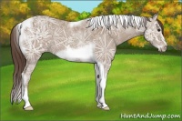 Horse Color:Classic Champagne Ice Tobiano Frame Varnish 