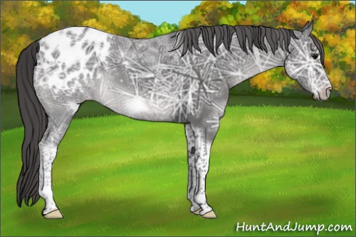 Horse Color:Platinum White Spotted Smoky Black Ice Tobiano Frame Blanket 