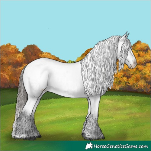Horse Color:Blue Roan Varnish 
