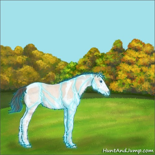 Horse Color:Thunderstruck Amber Champagne Roan Splash Tobiano